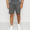 Only & Sons ONSCAM - Shorts - Grey