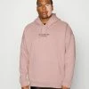 Only & Sons ONSLESCLASSIQUES HOODIE - Hoodie - Woodrose