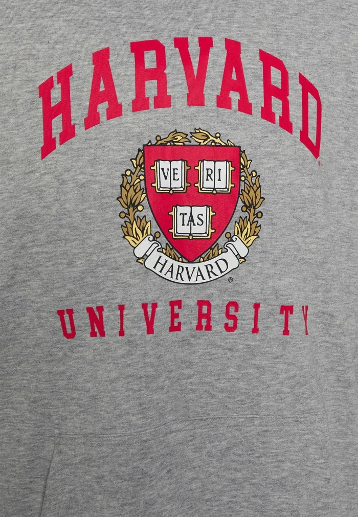 Only & Sons ONSHARVARD HOODIE UNISEX - Sweatshirt - Light Grey Melange 5 Only & Sons ONSHARVARD HOODIE UNISEX - Sweatshirt - Light Grey Melange - Image 3