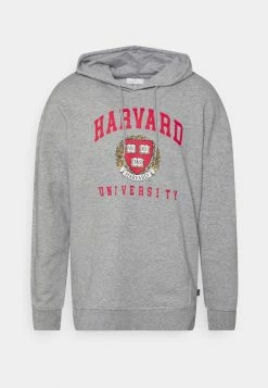 Only & Sons ONSHARVARD HOODIE UNISEX - Sweatshirt - Light Grey Melange