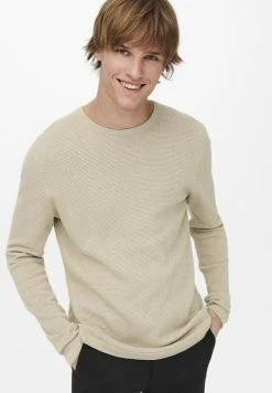 Only & Sons ONSPANTER STRUC CREW NOOS - Jumper - Beige