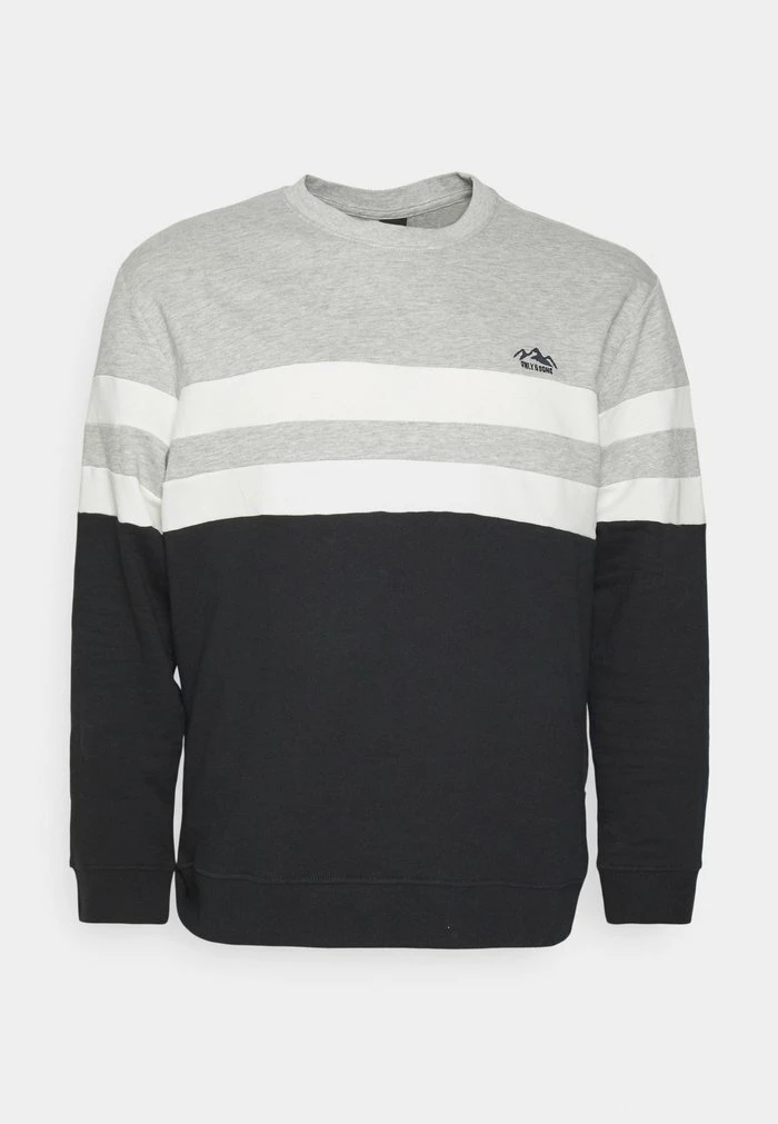 Only & Sons ONSTHOR LOGO CREW - Sweatshirt - Dark Navy 6 Only & Sons ONSTHOR LOGO CREW - Sweatshirt - Dark Navy - Image 4