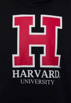 Only & Sons ONSHARVARD HOODIE UNISEX - Sweatshirt - Black -Only & Sons shop d0930e0bf15c410695d4766854dd417b